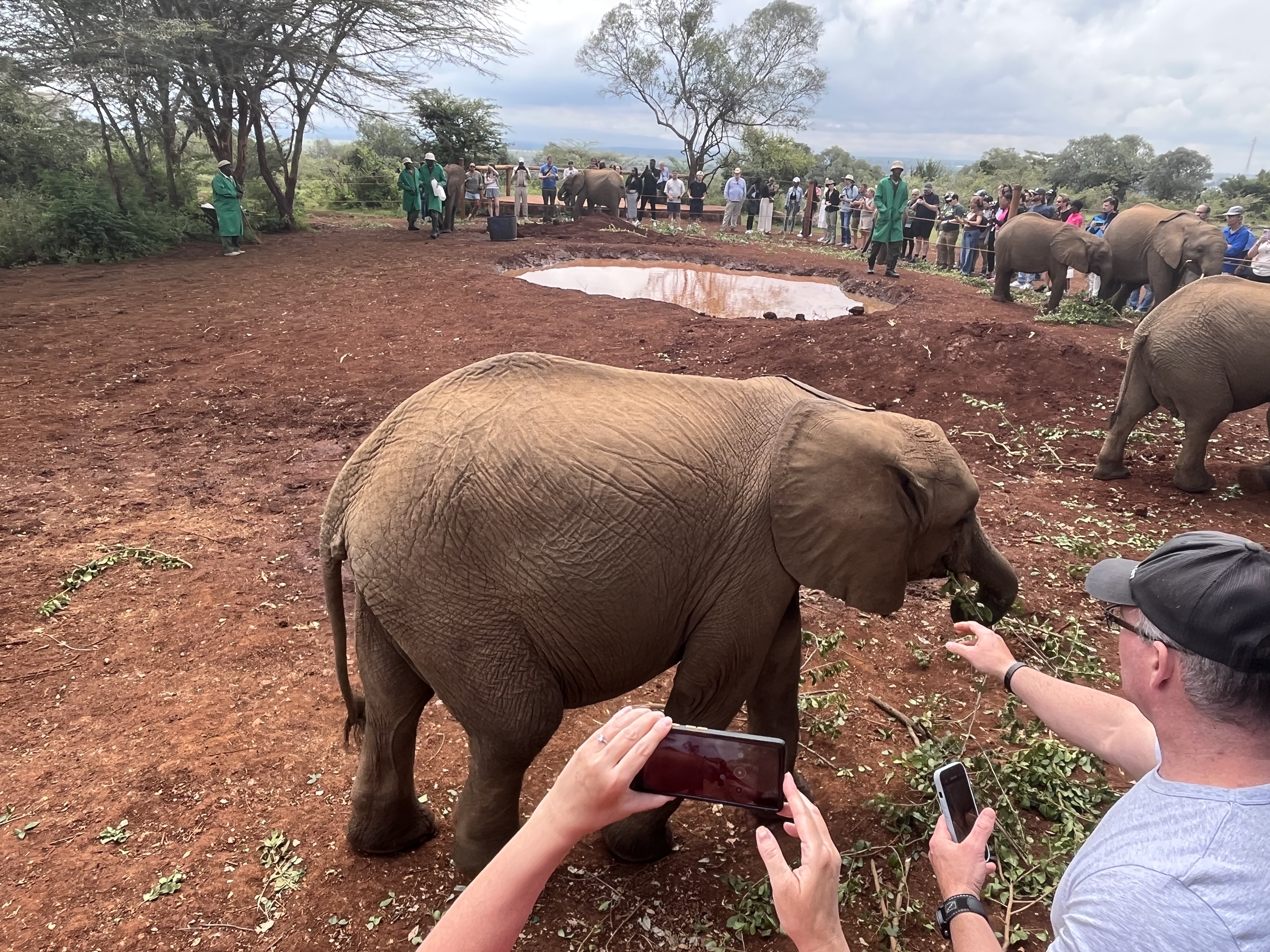National Park, Elephant Orphanage & Giraffe Center