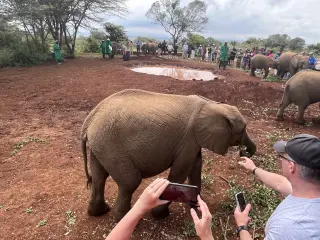 National Park, Elephant Orphanage & Giraffe Center