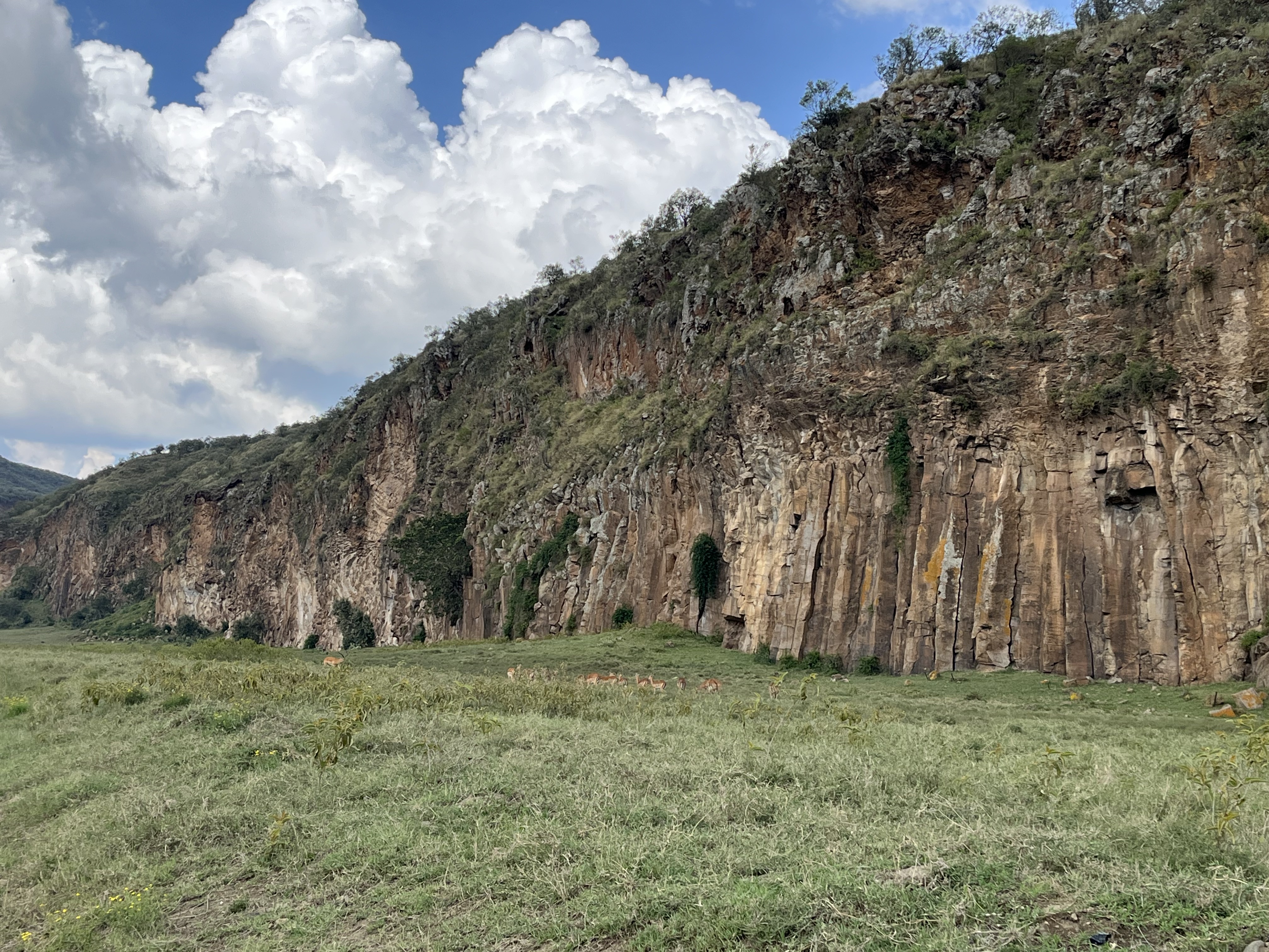 Hells Gate and Lake Naivasha Full Day Adventure